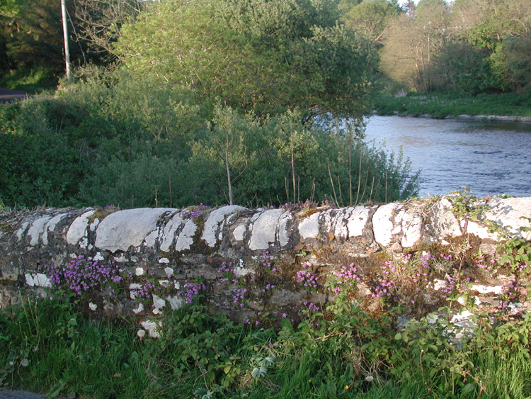 Bandon River 6.jpg 557.4K